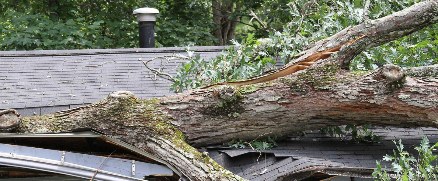 Who Should You Call When a Storm Damages Your Roof?